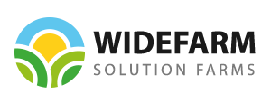 logo-1.png