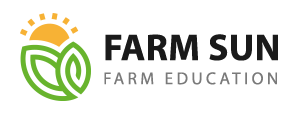 logo-2.png