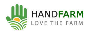 logo-3.png